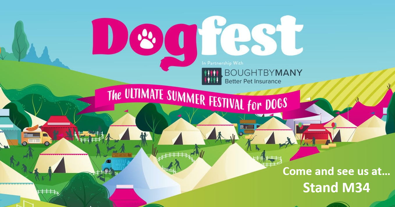 Looking forward to Dog Fest!